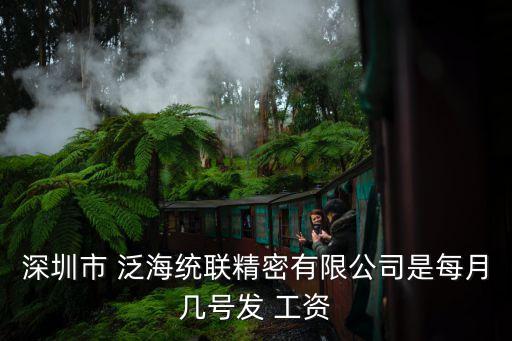 深圳市 泛海統(tǒng)聯(lián)精密有限公司是每月幾號(hào)發(fā) 工資