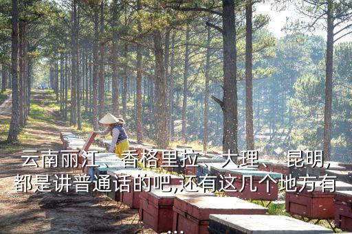 云南麗江、香格里拉、大理、 昆明,都是講普通話的吧,還有這幾個(gè)地方有...
