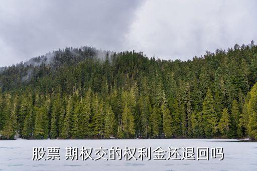 股票 期權交的權利金還退回嗎