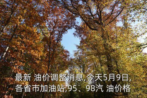 最新 油價(jià)調(diào)整消息,今天5月9日,各省市加油站,95、98汽 油價(jià)格