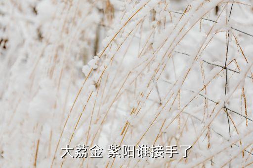 金紫陽(yáng)集團(tuán)最近消息,陜西金紫陽(yáng)集團(tuán)現(xiàn)狀