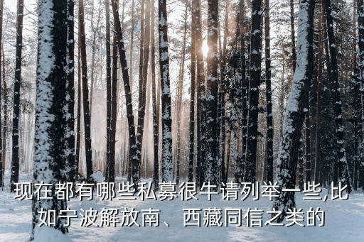 現(xiàn)在都有哪些私募很牛請列舉一些,比如寧波解放南、西藏同信之類的