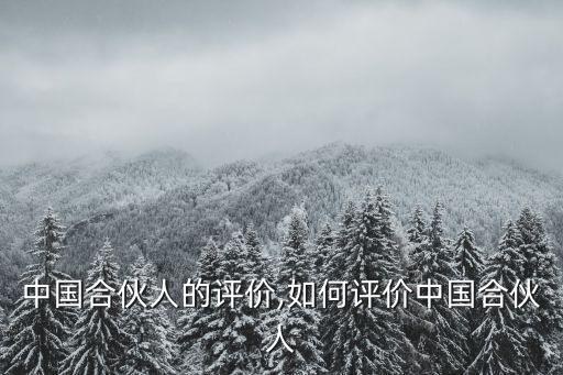 產(chǎn)融中國合伙人的評價(jià),如何評價(jià)中國合伙人