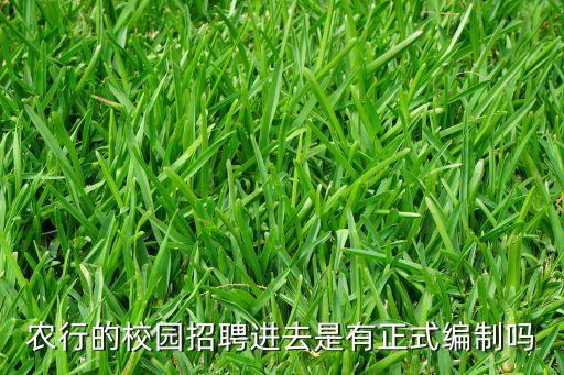 農(nóng)行的校園招聘進去是有正式編制嗎