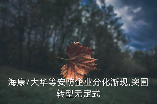 ?？?大華等安防企業(yè)分化漸現(xiàn),突圍轉(zhuǎn)型無定式