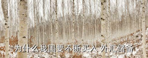 為什么我國(guó)要不斷買(mǎi)入 外匯儲(chǔ)備