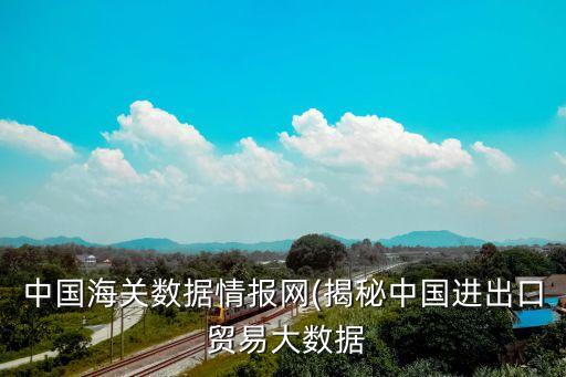 中國海關數(shù)據(jù)情報網(揭秘中國進出口 貿易大數(shù)據(jù)