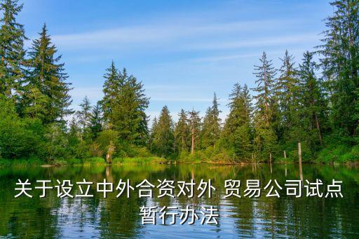 關(guān)于設(shè)立中外合資對外 貿(mào)易公司試點暫行辦法