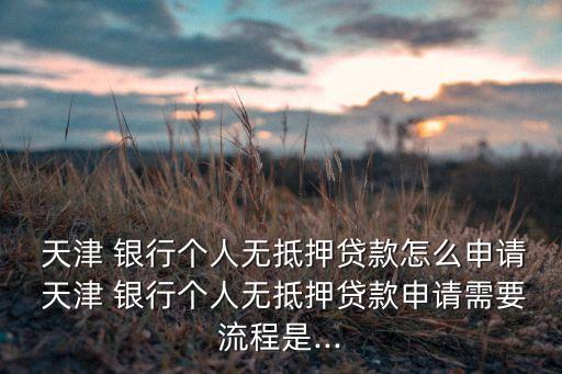  天津 銀行個(gè)人無抵押貸款怎么申請 天津 銀行個(gè)人無抵押貸款申請需要流程是...