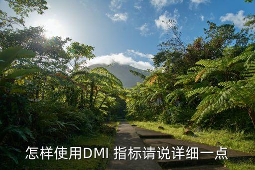 怎樣使用DMI 指標(biāo)請說詳細(xì)一點