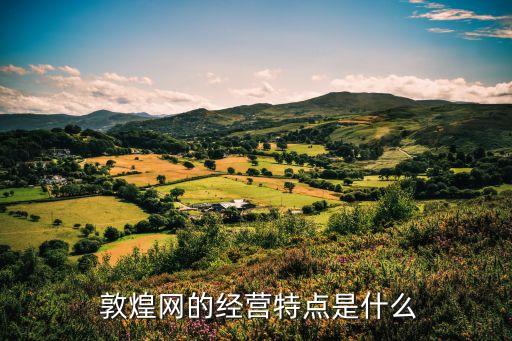  敦煌網的經營特點是什么