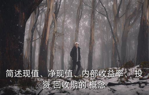 簡述現(xiàn)值、凈現(xiàn)值、內(nèi)部收益率、 投資 回收期的 概念