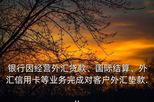  銀行因經(jīng)營外匯貸款、國際結(jié)算、外匯信用卡等業(yè)務(wù)完成對客戶外匯墊款...