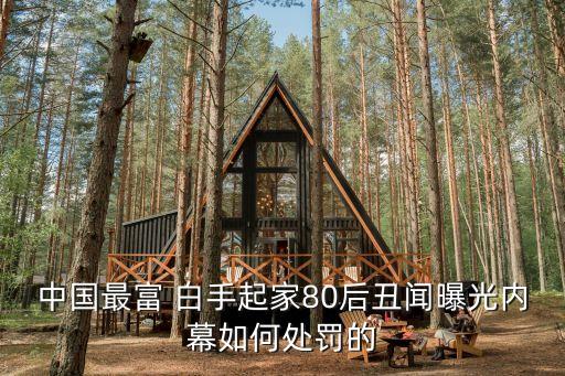 中國最富 白手起家80后丑聞曝光內幕如何處罰的