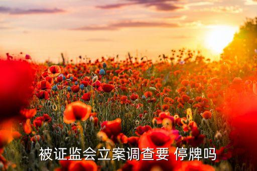 被證監(jiān)會立案調查要 停牌嗎