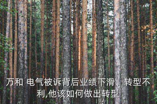 萬和 電氣被訴背后業(yè)績下滑、轉(zhuǎn)型不利,他該如何做出轉(zhuǎn)型