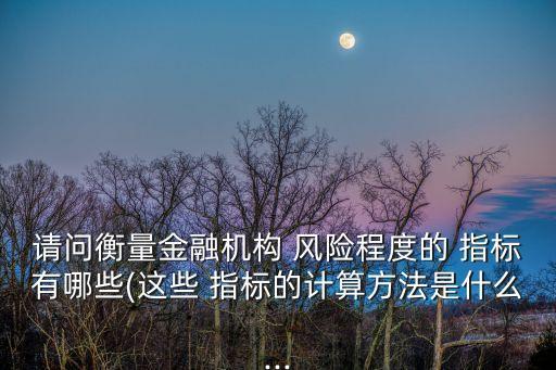 請問衡量金融機構(gòu) 風險程度的 指標有哪些(這些 指標的計算方法是什么...
