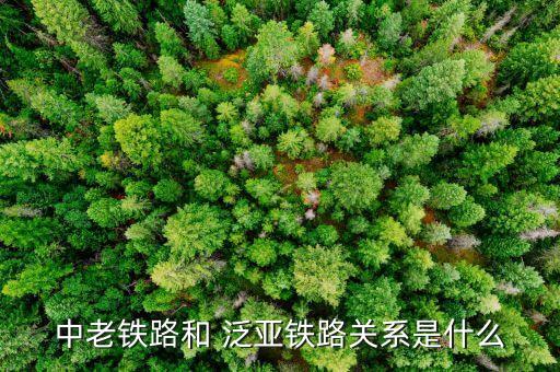 中老鐵路和 泛亞鐵路關系是什么
