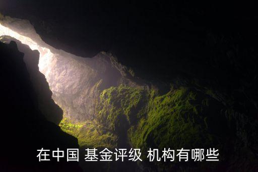 在中國(guó) 基金評(píng)級(jí) 機(jī)構(gòu)有哪些