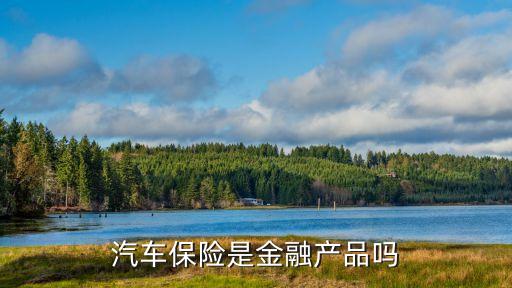 汽車(chē)保險(xiǎn)是金融產(chǎn)品嗎