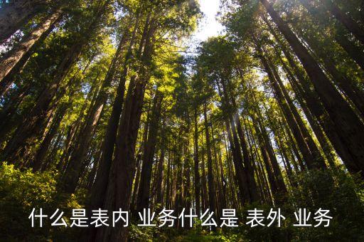 什么是表內 業(yè)務什么是 表外 業(yè)務