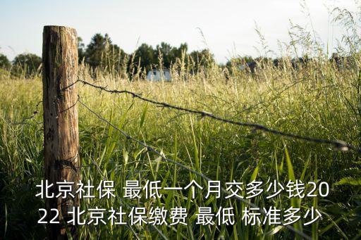  北京社保 最低一個月交多少錢2022 北京社保繳費(fèi) 最低 標(biāo)準(zhǔn)多少