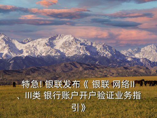 特急! 銀聯(lián)發(fā)布《 銀聯(lián) 網(wǎng)絡(luò)II、III類 銀行賬戶開戶驗(yàn)證業(yè)務(wù)指引》