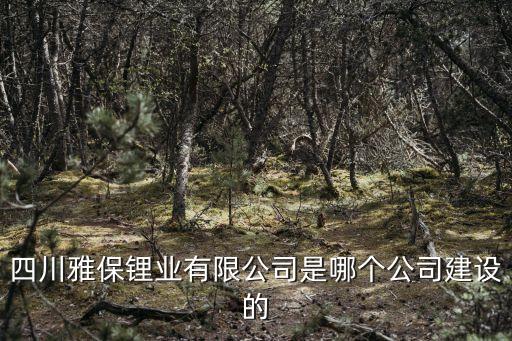 四川雅保鋰業(yè)有限公司是哪個公司建設(shè)的