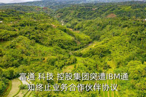  富通 科技 控股集團突遭IBM通知終止業(yè)務合作伙伴協議