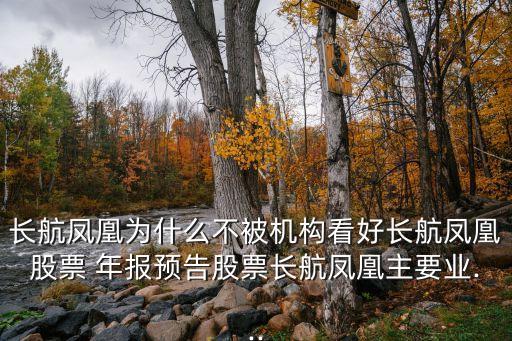 長航鳳凰為什么不被機構(gòu)看好長航鳳凰股票 年報預(yù)告股票長航鳳凰主要業(yè)...