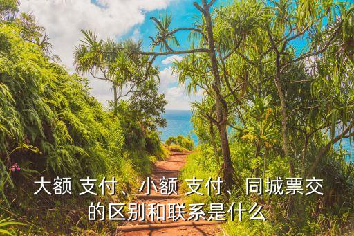  大額 支付、小額 支付、同城票交的區(qū)別和聯(lián)系是什么
