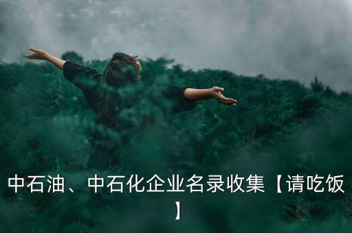 中石油、中石化企業(yè)名錄收集【請(qǐng)吃飯】