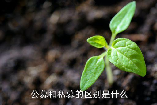 公募基金風(fēng)險,2018年 公募基金風(fēng)險