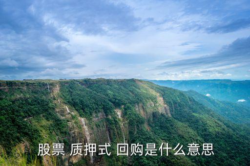  股票 質(zhì)押式 回購(gòu)是什么意思