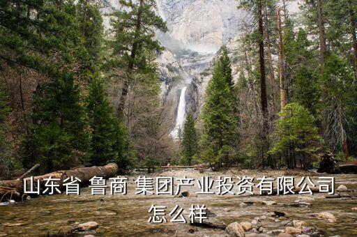 山東省 魯商 集團產業(yè)投資有限公司怎么樣