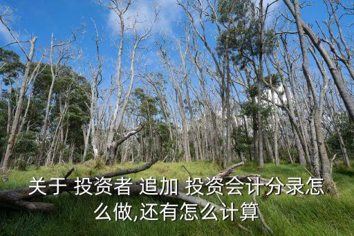 關于 投資者 追加 投資會計分錄怎么做,還有怎么計算
