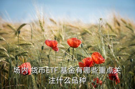 場內(nèi) 貨幣ETF 基金有哪些重點關注什么品種