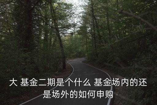 大 基金二期是個(gè)什么 基金場(chǎng)內(nèi)的還是場(chǎng)外的如何申購