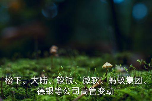 松下、大陸、軟銀、微軟、螞蟻集團(tuán)、德銀等公司高管變動(dòng)
