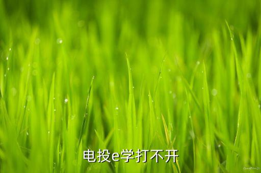 電投e學(xué)打不開(kāi)