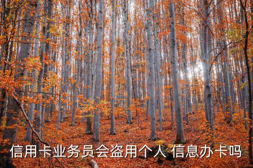 信用卡業(yè)務(wù)員會盜用個(gè)人 信息辦卡嗎