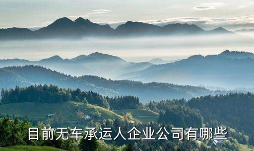 目前無(wú)車承運(yùn)人企業(yè)公司有哪些