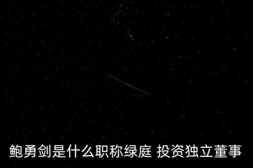 鮑勇劍是什么職稱綠庭 投資獨立董事