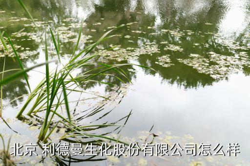 利德曼投資者關系