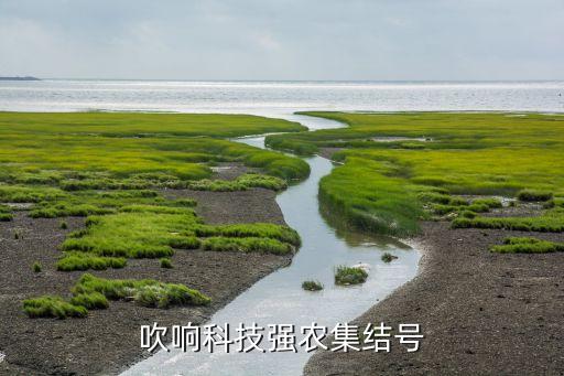 吹響科技強(qiáng)農(nóng)集結(jié)號