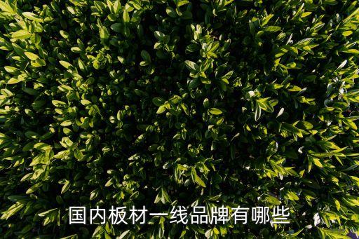 國內板材一線品牌有哪些