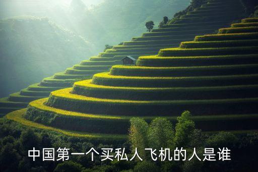 中國(guó)第一個(gè)買私人飛機(jī)的人是誰(shuí)