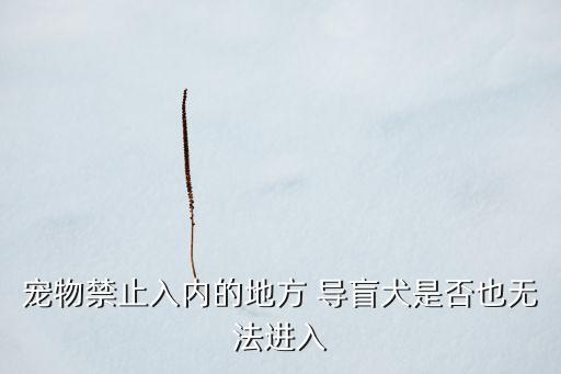 寵物禁止入內(nèi)的地方 導(dǎo)盲犬是否也無法進入
