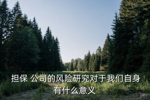 擔保公司內外部環(huán)境