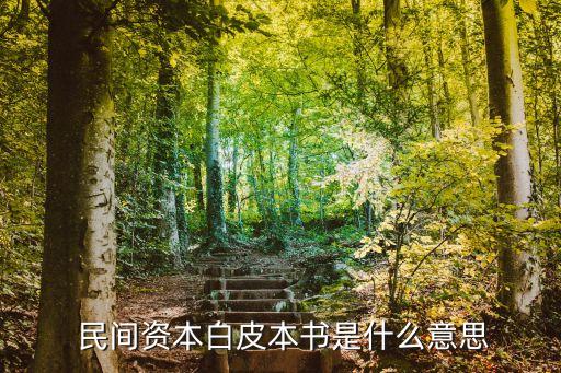  民間資本白皮本書(shū)是什么意思